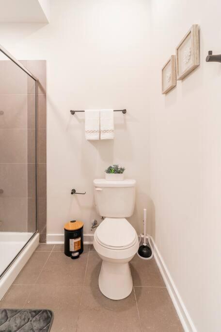 Charming Cozy Apartment With Wi-Fi & Free Parking Σάρλοτ Εξωτερικό φωτογραφία